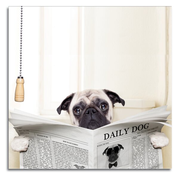 Stenska dekoracija Daily Dog