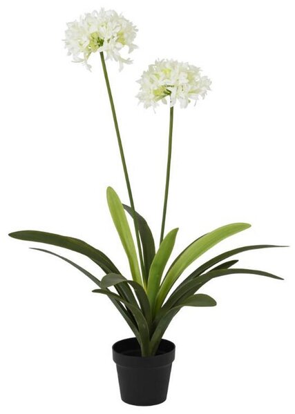 UMETNA RASTLINA 80/105 cm