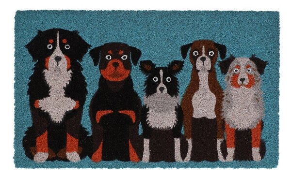 Predpražnik iz kokosovih vlaken 45x75 cm – Esschert Design