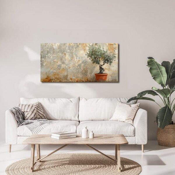 Slika oljka v loncu