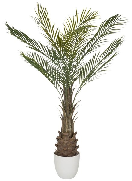 MID.YOU Umetna Rastlina Dracaena