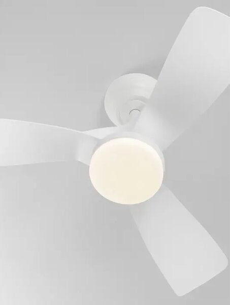 CAELIA BIJELI VENTILATOR S LED SVJETILJKOM I DALJINSKIM 20+30W IP20 CCT NL9952395