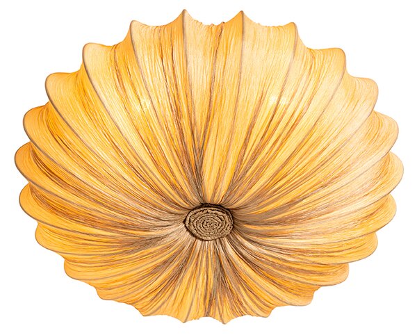 Dizajnerska stropna svetilka bež 60 cm 5-luč - Plu