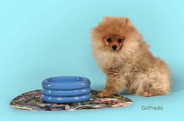 United Pets Skleda za hišne ljubljenčke United Pets DoggyMood x Seletti