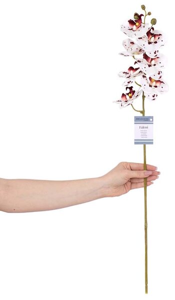 Umetna rastlina Orchidea 10-pack