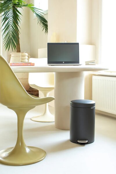 Brabantia Koš za smeti Brabantia New Icon 12 L