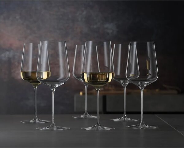 Spiegelau Komplet kozarcev za vino Spiegelau Definition Universal 550 ml 2-pack