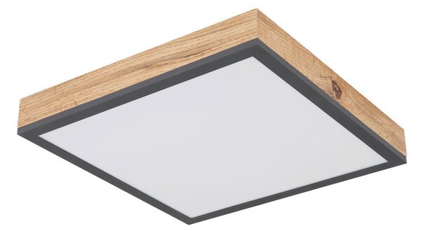 STROPNA LED-SVETILKA Doro 3000 K 230 V