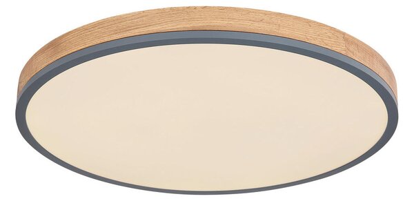 STROPNA LED-SVETILKA Doro 2700-6500 K 230 V