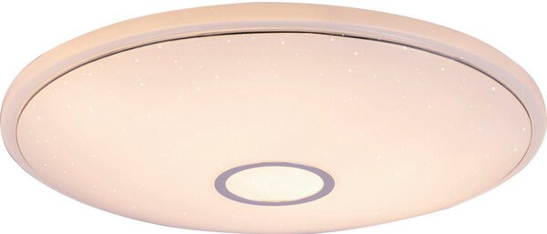 STROPNA LED-SVETILKA Connor 3000-6000 K