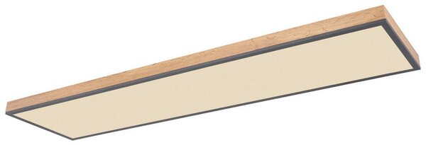 STROPNA LED-SVETILKA DORO 2700-6000 K 230 V