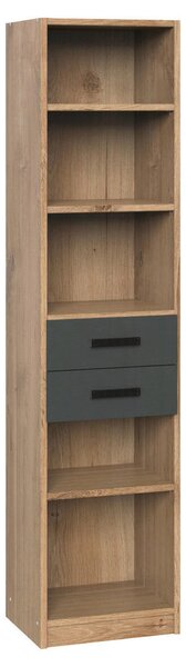 REGALNI ELEMENT 47/198/38 cm barve grafita, barve hrasta