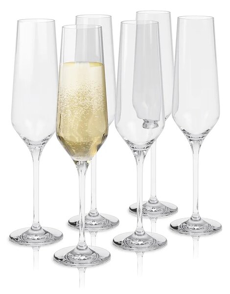Eva Solo Komplet kozarcev za šampanjec Eva Solo Legio Nova 260 ml 6-pack