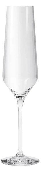 Eva Solo Komplet kozarcev za šampanjec Eva Solo Legio Nova 260 ml 6-pack