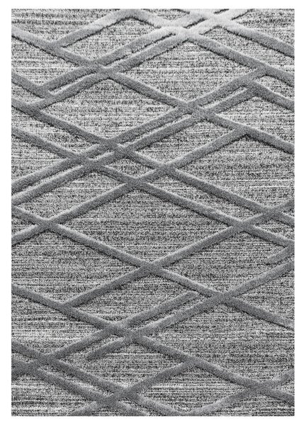 TKANA PREPROGA Pisa 4706 grau 160/230 cm tkano siva