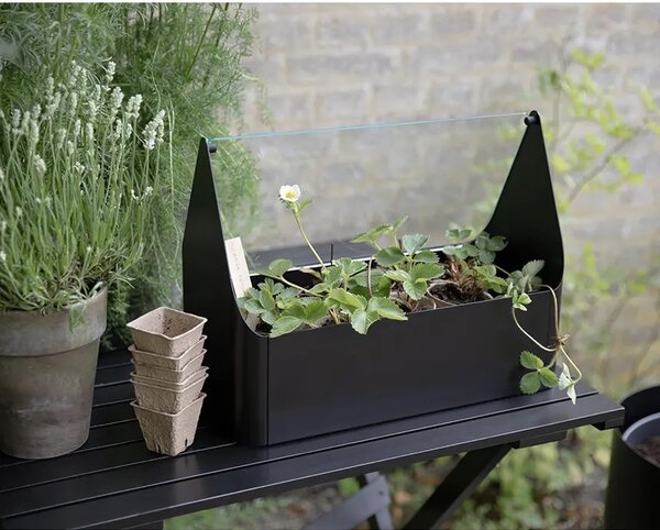 Eva Solo Mini rastlinjak Eva Solo Simply Grow Mini Greenhouse 32 x 42 x 20 cm
