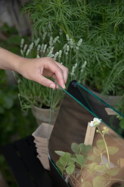 Eva Solo Mini rastlinjak Eva Solo Simply Grow Mini Greenhouse 32 x 42 x 20 cm