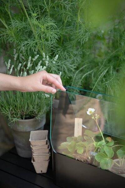 Eva Solo Mini rastlinjak Eva Solo Simply Grow Mini Greenhouse 32 x 42 x 20 cm