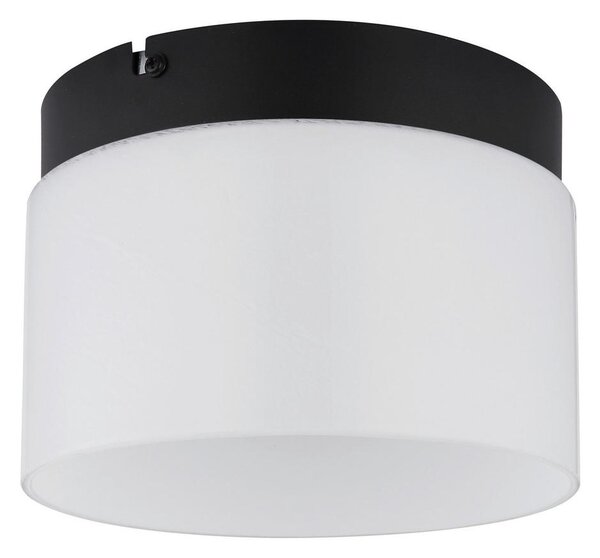 STROPNA LED-SVETILKA TRENTON 3000, 6000, 4000 K 230 V