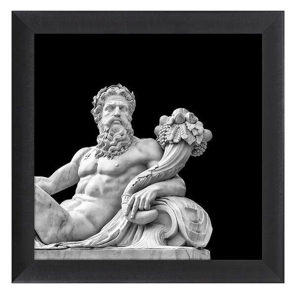 Uokvirjena stenska dekoracija home & lifestyle ZEUS 70 x 70 cm
