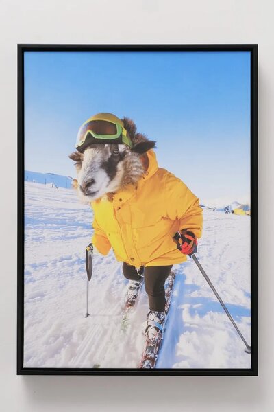 Boltze Uokvirjena stenska dekoracija Boltze Skian 40 x 55 cm