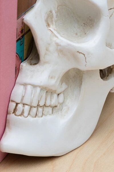 Luckies of London Podstavki za knjige Luckies of London Skull 12,3 x 15 x 21,5 cm 2-pack