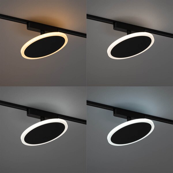 Moderni črni reflektor za enofazni tirni sistem, vključno z LED - Magnetic Puk