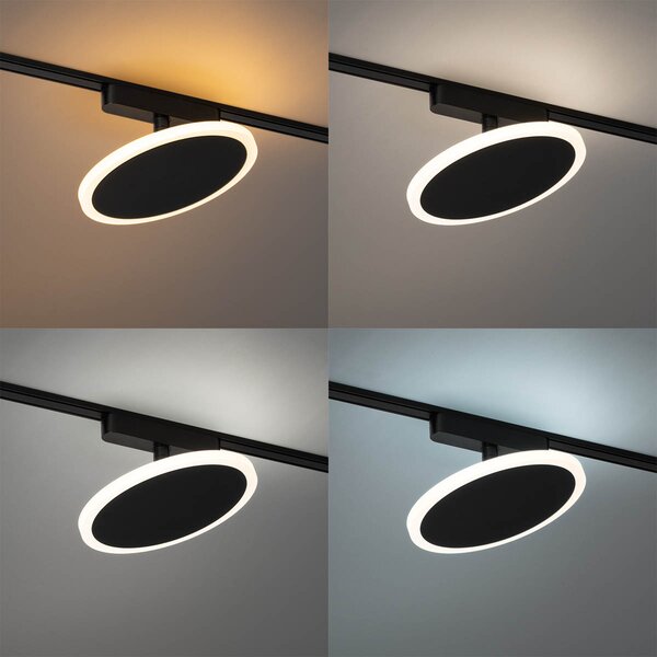 Moderni črni reflektor za enofazni tirni sistem, vključno z LED - Magnetic Puk