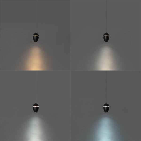 Moderna črna viseča svetilka za 1-fazni sistem tirnic vklj. LED - Magnetic Eggy