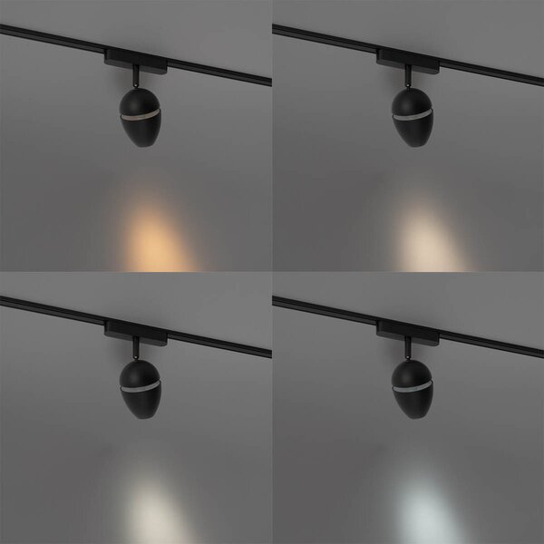 Moderni črni reflektor za enofazni tirni sistem vključno z LED - Magnetic Eggy