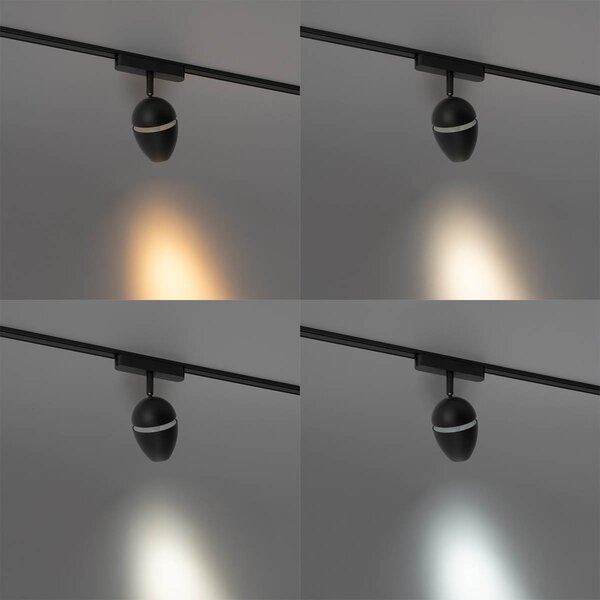 Moderni črni reflektor za enofazni tirni sistem vključno z LED - Magnetic Eggy