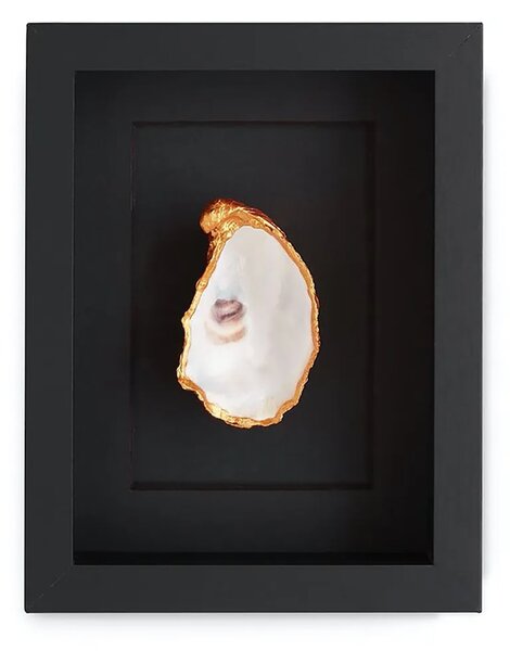 Maria el Mar Uokvirjena stenska dekoracija Maria el Mar Single Oyster 22 x 17 cm