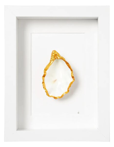 Maria el Mar Uokvirjena stenska dekoracija Maria el Mar Single Oyster 22 x 17 cm