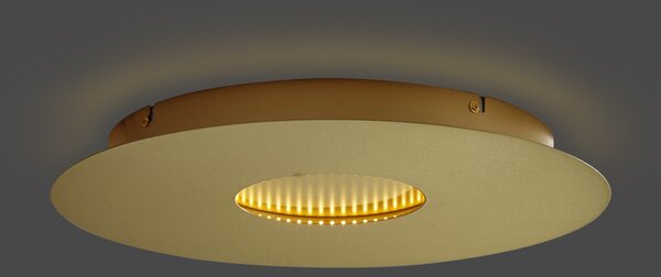 Sodobna stropna svetilka zlata 40 cm vklj. LED s 3-stopenjskim zatemnjevanjem - Morning