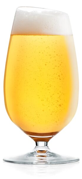 Eva Solo Komplet kozarcev za pivo Eva Solo 0,35 l 6-pack