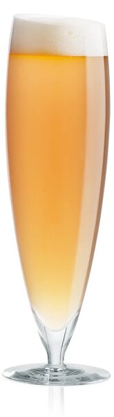 Eva Solo Komplet kozarcev za pivo Eva Solo 0,5 L 6-pack