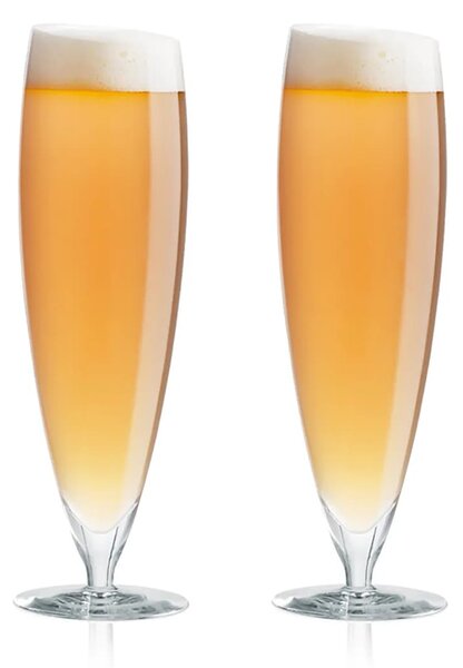 Eva Solo Komplet kozarcev za pivo Eva Solo 0,5 L 6-pack