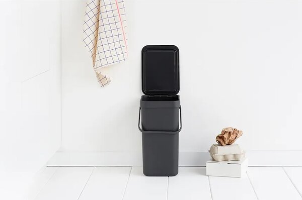 Brabantia Koš za smeti Brabantia Sort & Go 12 L