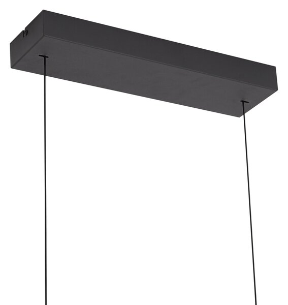 Moderna viseča svetilka črna z dimnim steklom vklj. LED Easylift - Catch