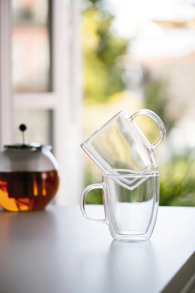 Bodum komplet kozarcev iz borosilikatnega stekla 0,45 l
