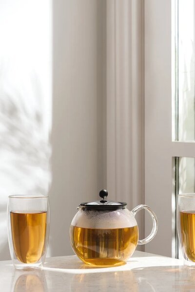 Bodum komplet kozarcev iz borosilikatnega stekla 0,45 l