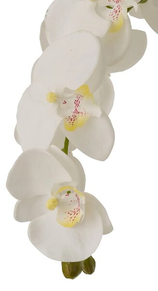 J-Line umetna rastlina dekorativna 60 x 53 x 104 cm
