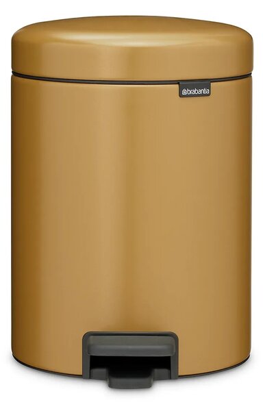 Brabantia koš za smeti iz jekla 5 l