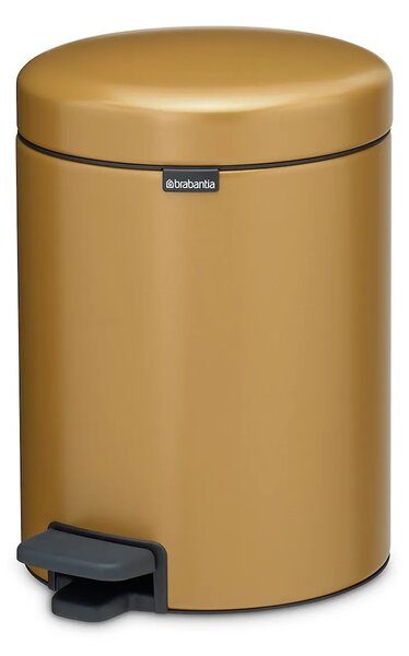 Brabantia koš za smeti iz jekla 5 l