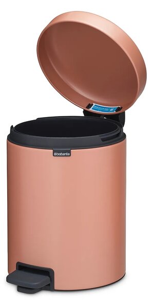 Brabantia koš za smeti iz jekla 5 l