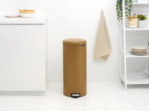 Brabantia koš za smeti iz nerjavečega jekla 30 l