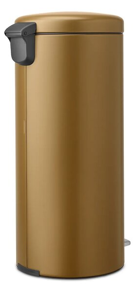 Brabantia koš za smeti iz nerjavečega jekla 30 l