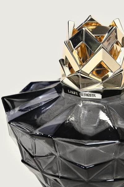Maison Berger Paris difuzor 408 ml