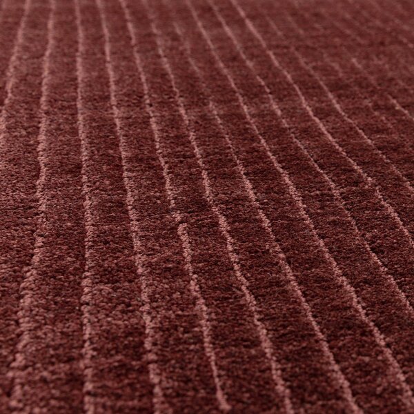 Bordo rdeča ročno tkana preproga 160x230 cm – Asiatic Carpets