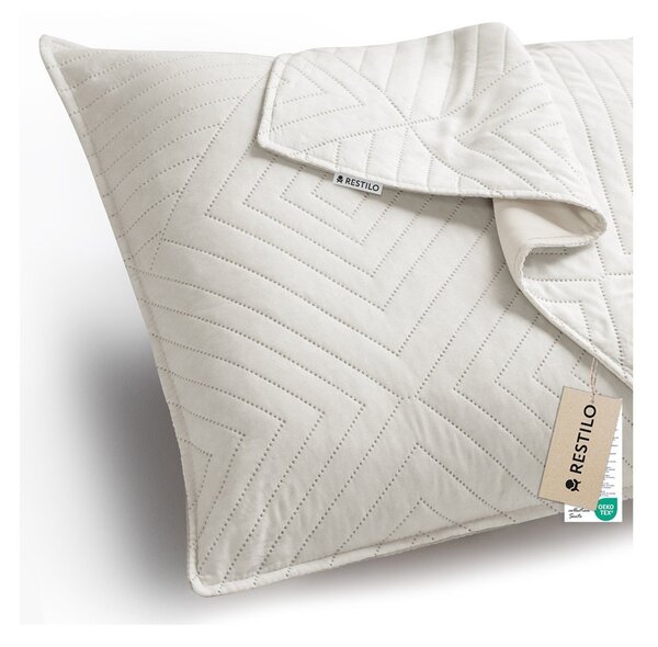 Prevleke za blazino v kompletu 2 ks iz mikrovlaken 45x45 cm Softa – Restilo